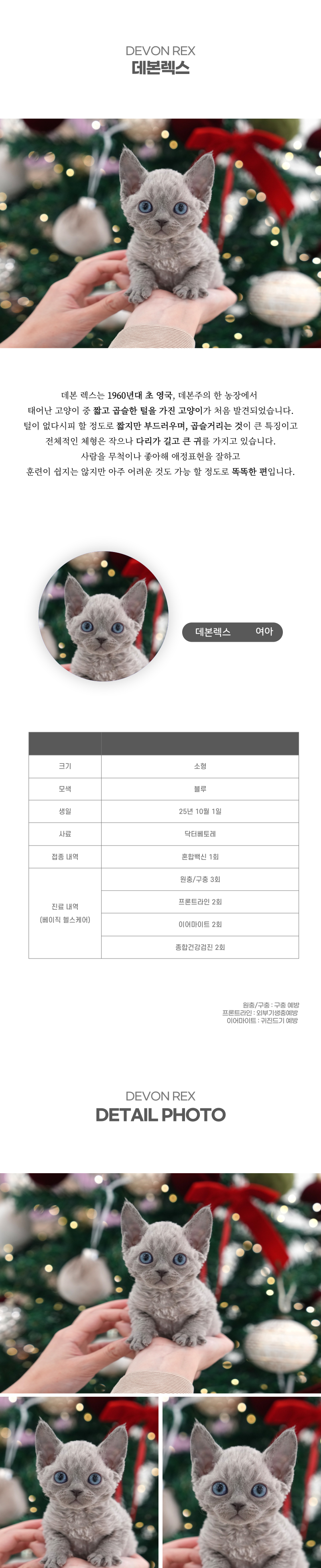 데본렉스_상세이미지_2